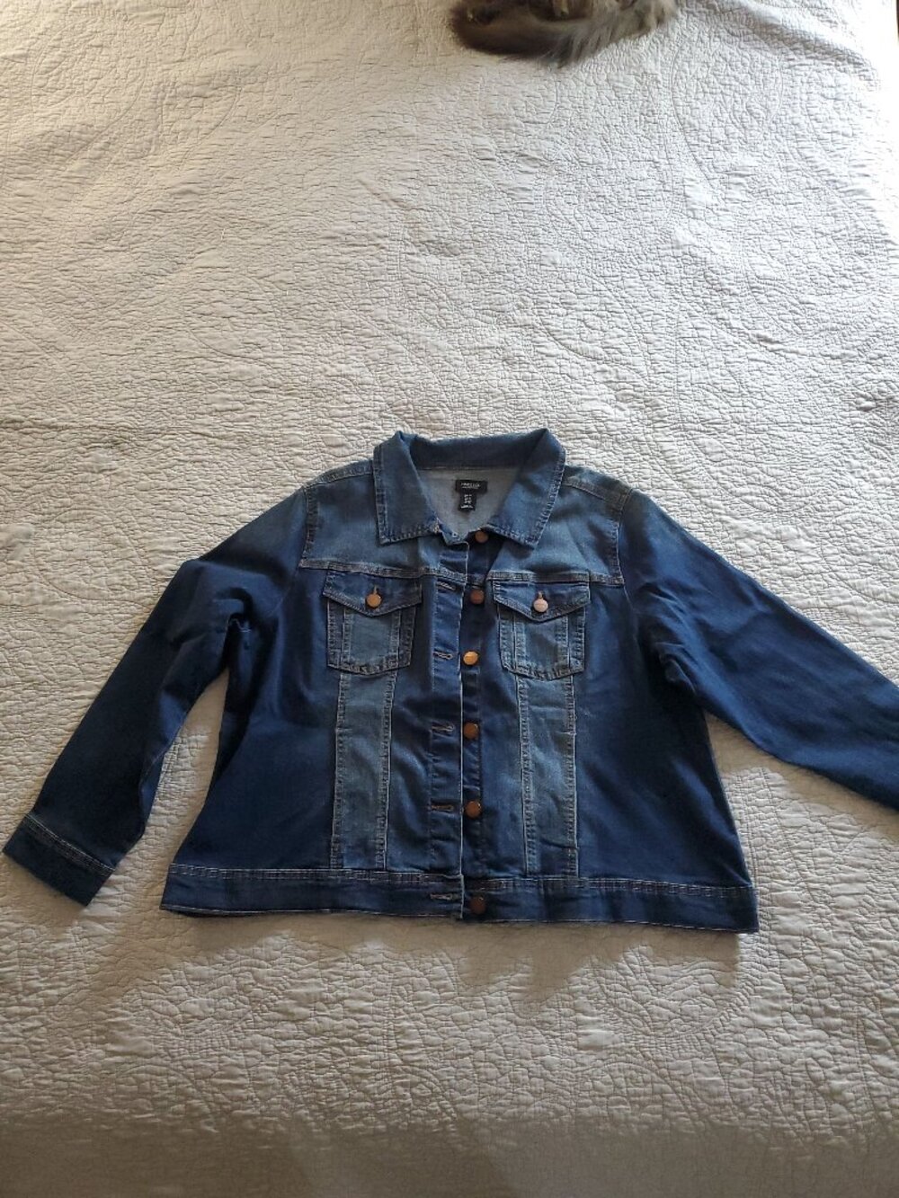 Jean Style Jacket